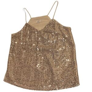 LOFT champagne sequin v-neck blouse